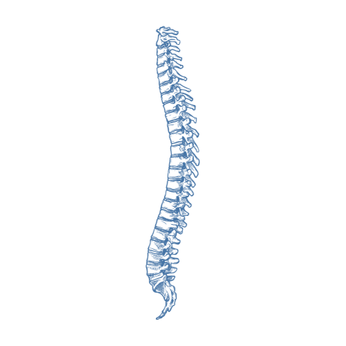 orthopädie-Physiotherapie Graz