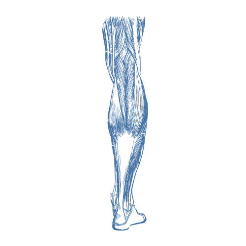 Physiotherapie Graz-physio24